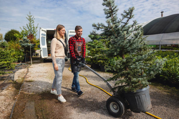 Mulching Services in Langdon, ND